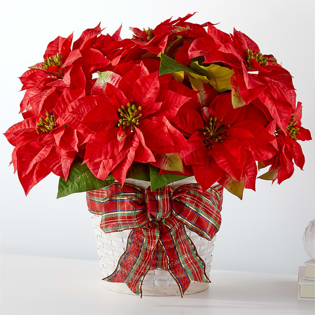 Happiest Holidays Poinsettia – Floreria Mexico #3, Torrance CA