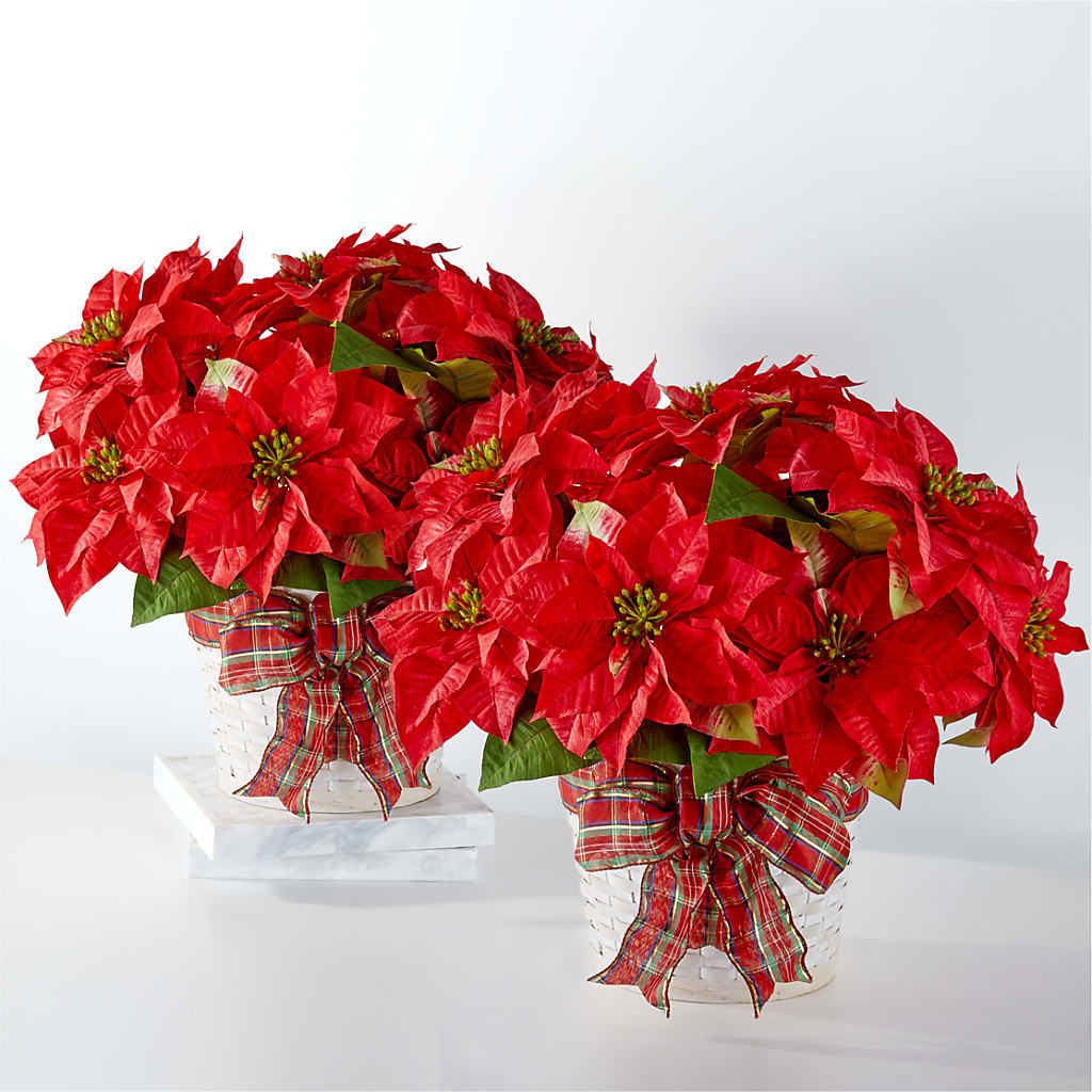 Happiest Holidays Poinsettia Bundle – Floreria Mexico #3, Torrance CA
