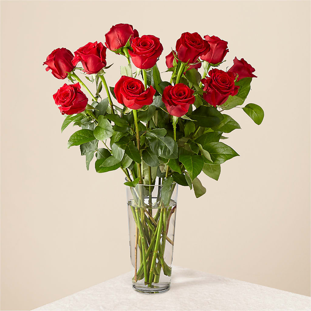 Long Stem Red Rose Bouquet – Floreria Mexico #3, Torrance CA