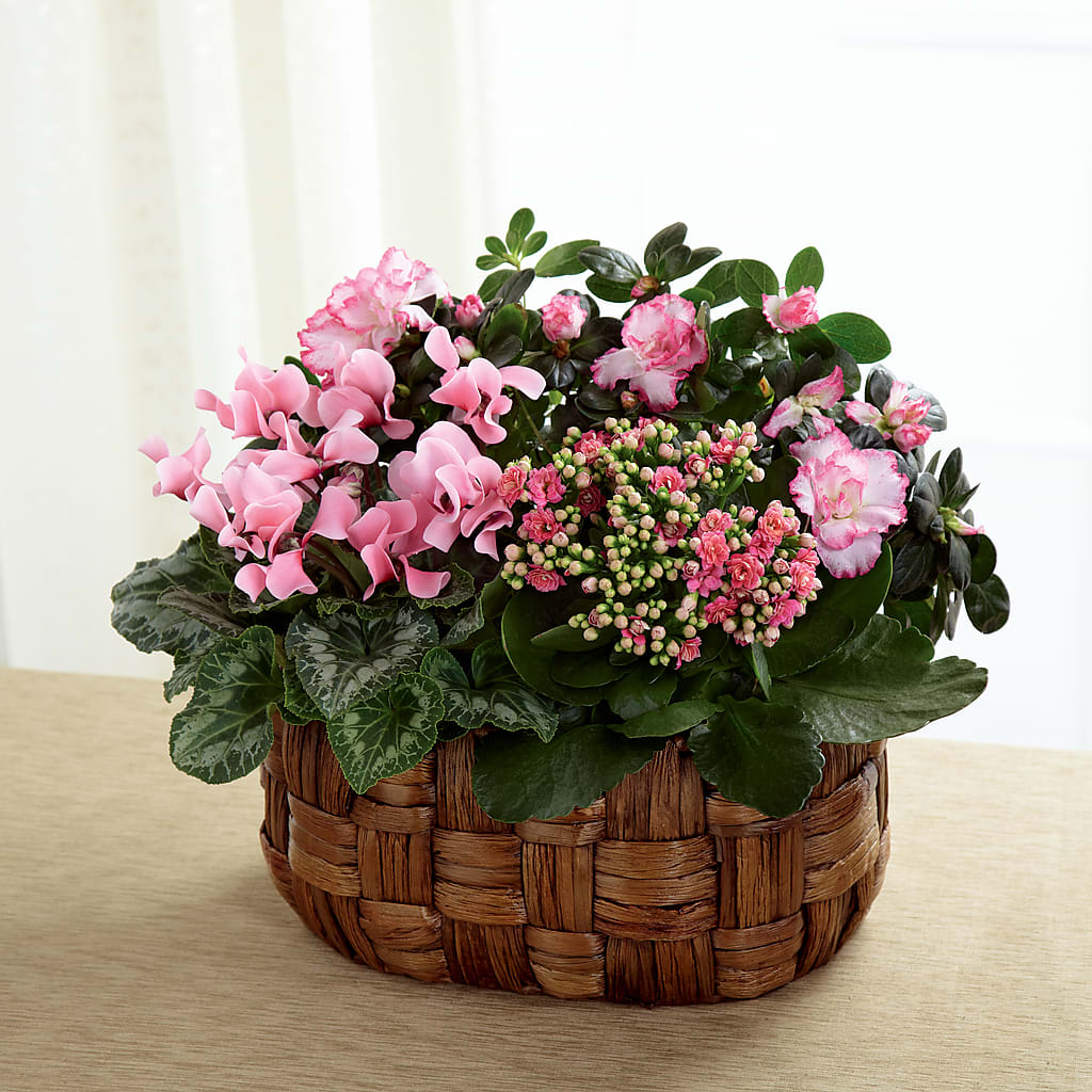Pink Assortment – Floreria Mexico #3, Torrance CA