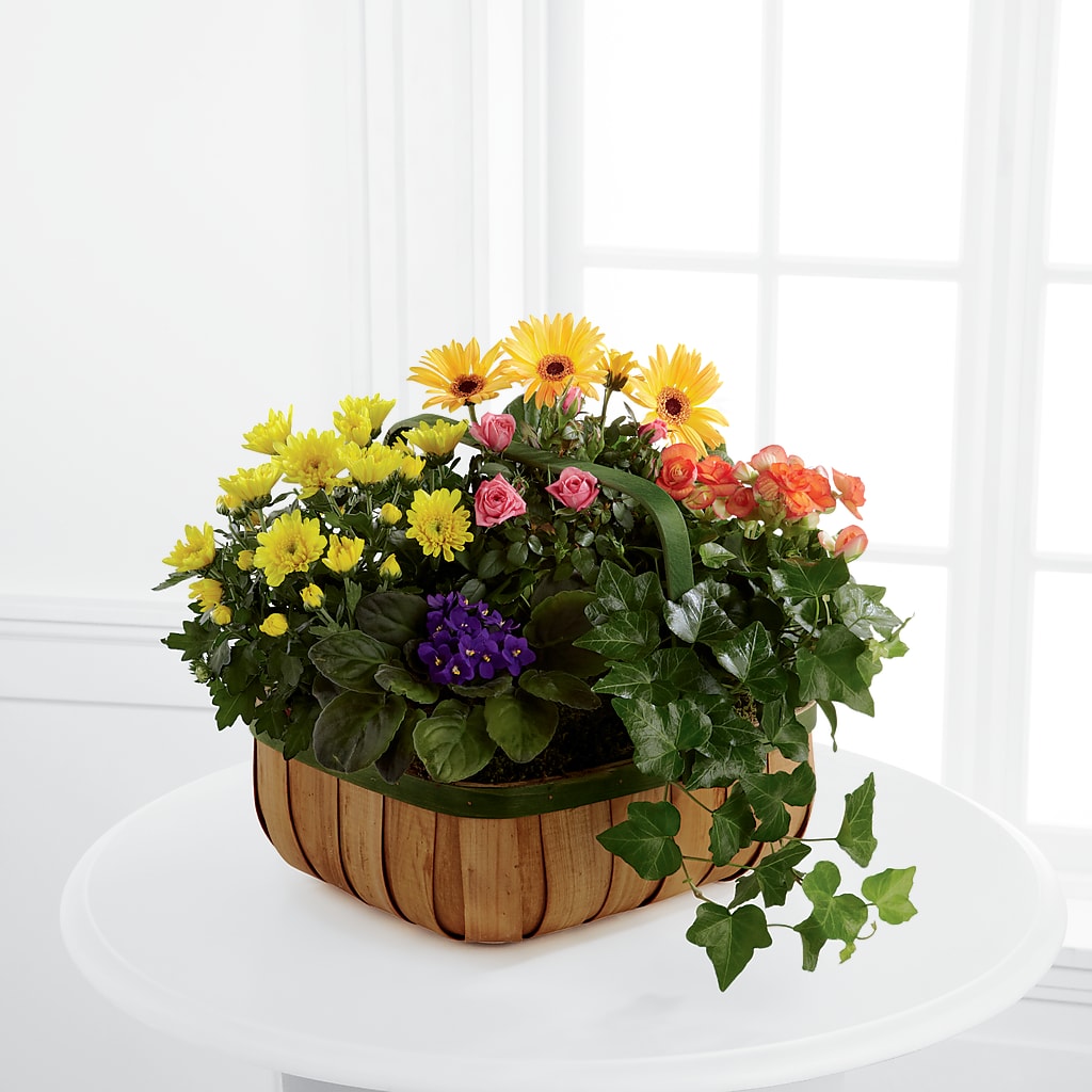 Gentle Blossoms Basket – Floreria Mexico #3, Torrance CA