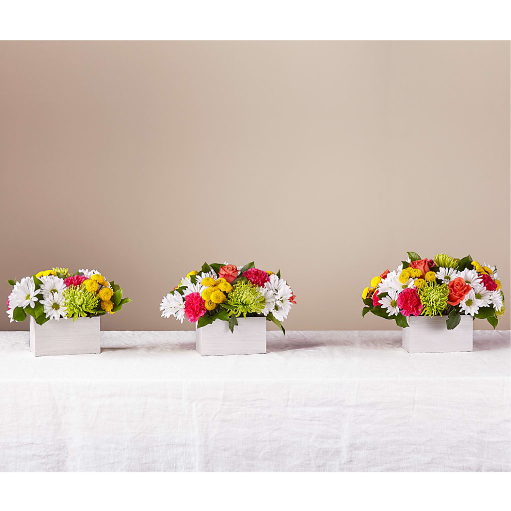 Sorbet Bouquet – Floreria Mexico #3, Torrance CA