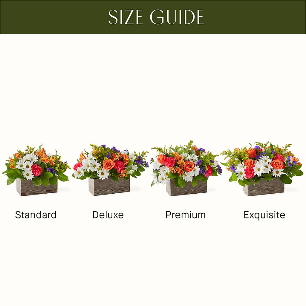 Oopsie Daisy Box Bouquet – Floreria Mexico #3, Torrance CA