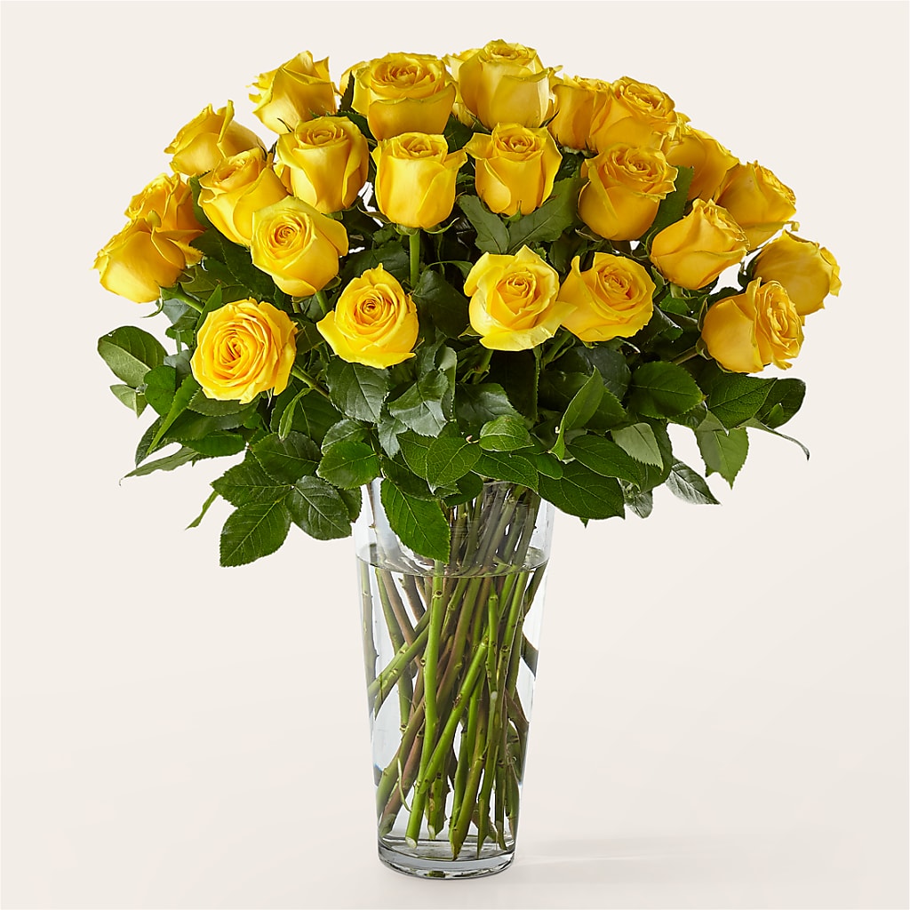 Long Stem Yellow Rose Bouquet – Floreria Mexico #3, Torrance CA