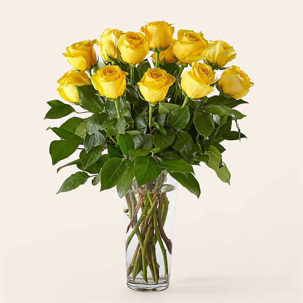 Long Stem Yellow Rose Bouquet – Floreria Mexico #3, Torrance CA