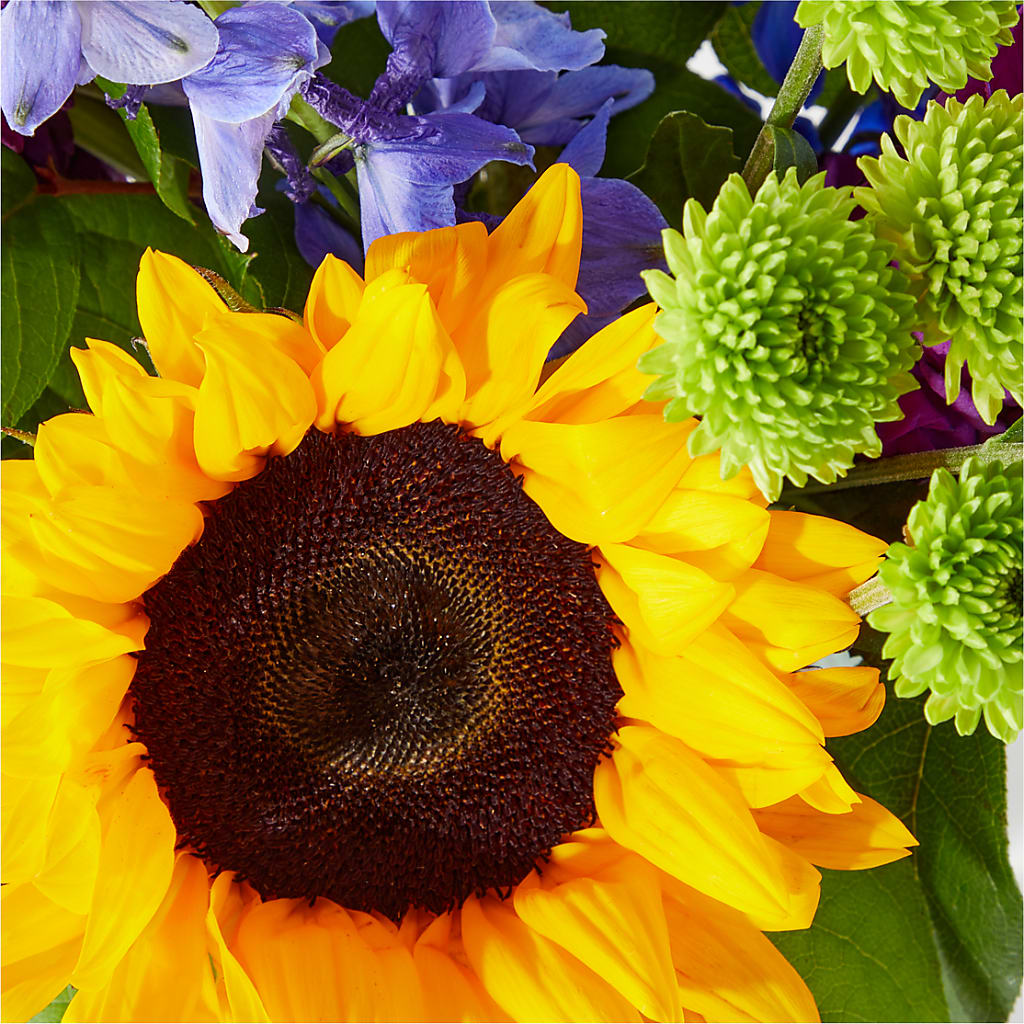 Catching Rays Bouquet – Floreria Mexico #3, Torrance CA