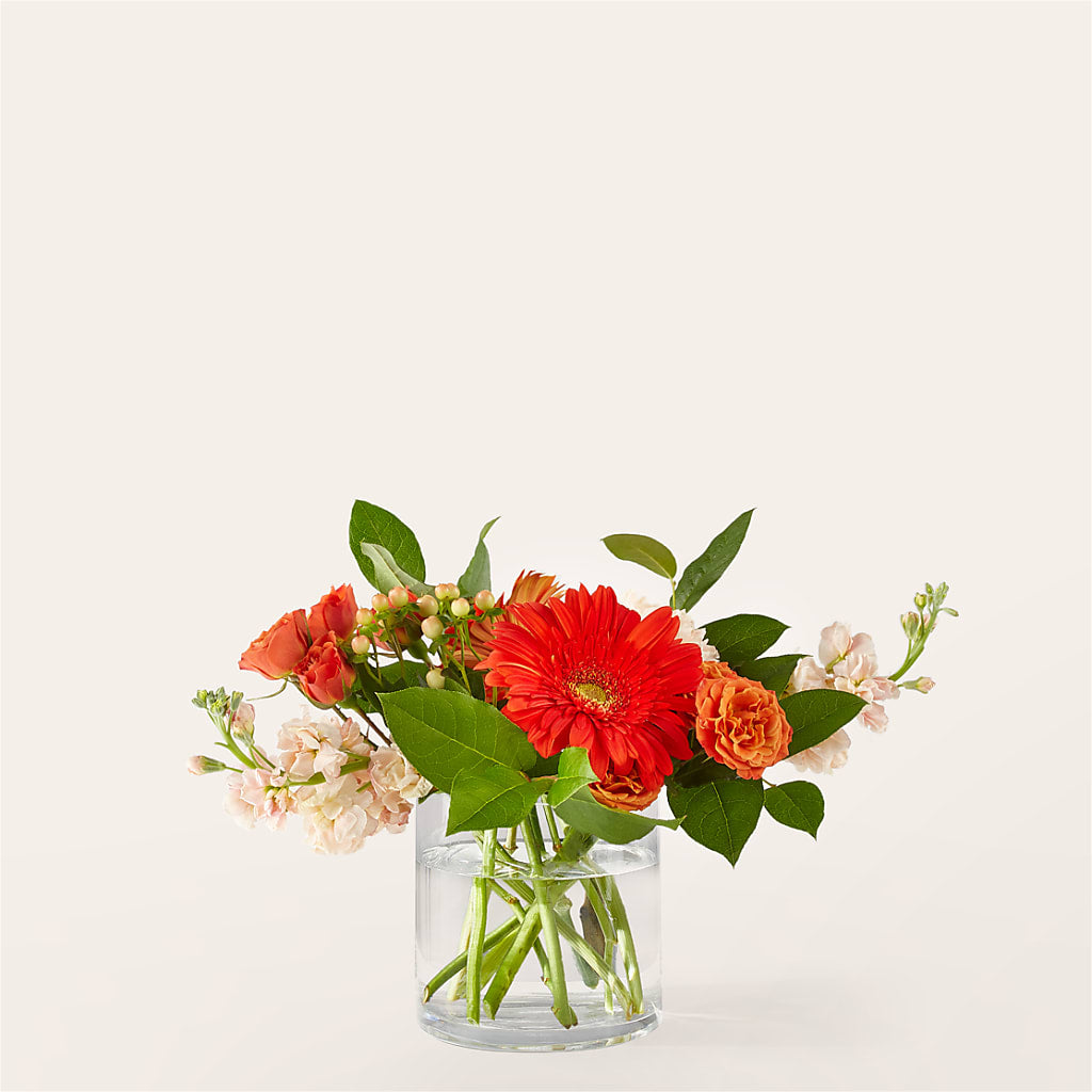 Paloma Please Bouquet – Floreria Mexico #3, Torrance CA