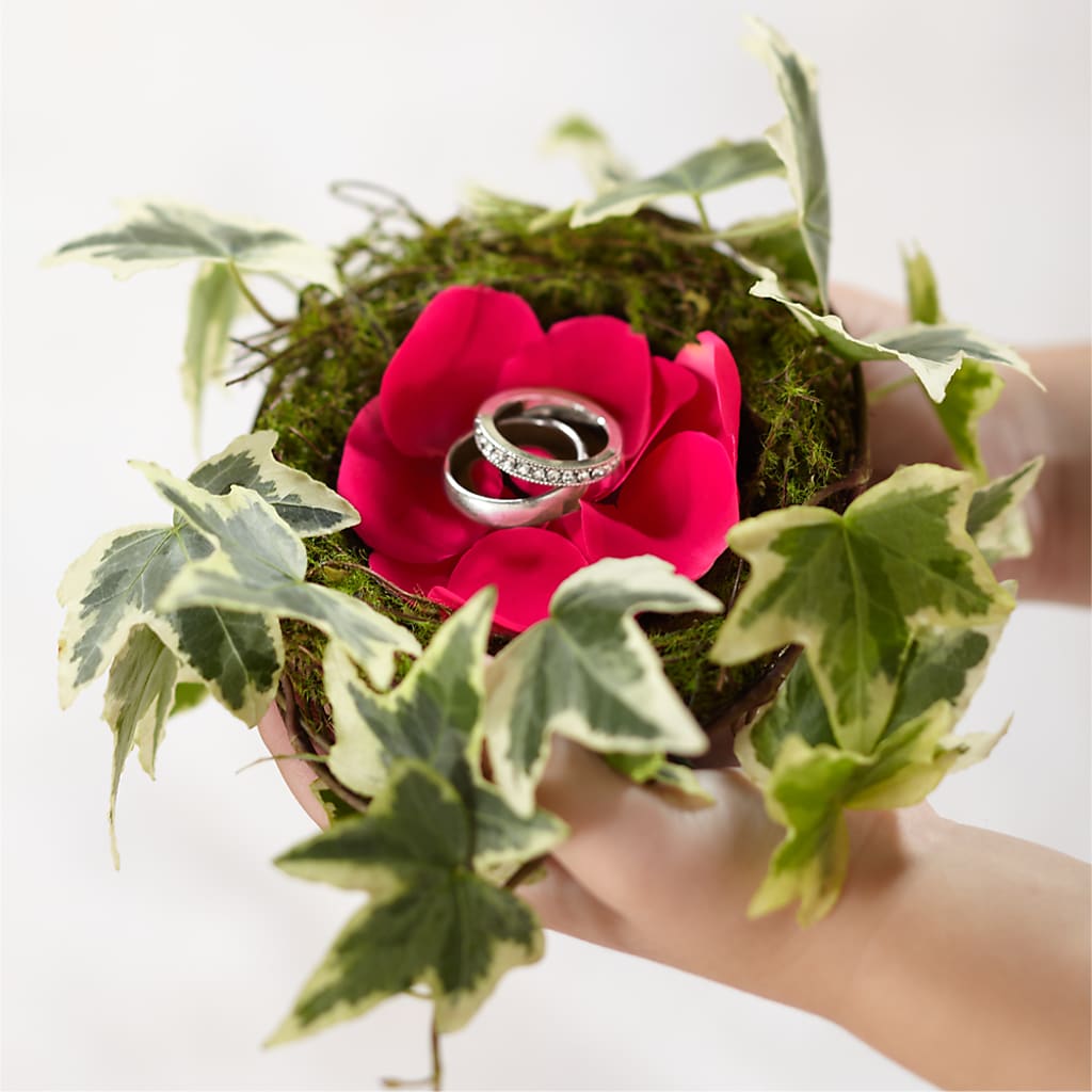 Lila Rose Ring Nest – Floreria Mexico #3, Torrance CA