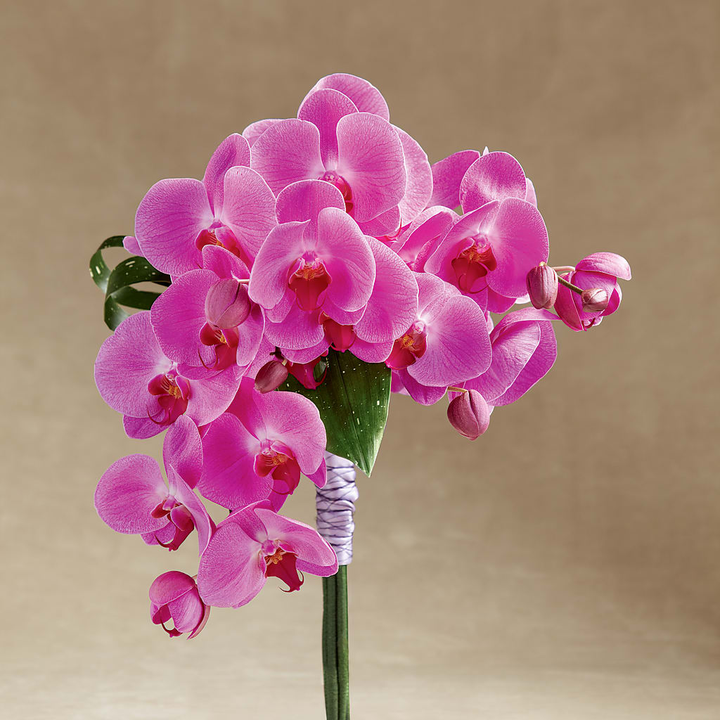 Glorious Bouquet – Floreria Mexico #3, Torrance CA