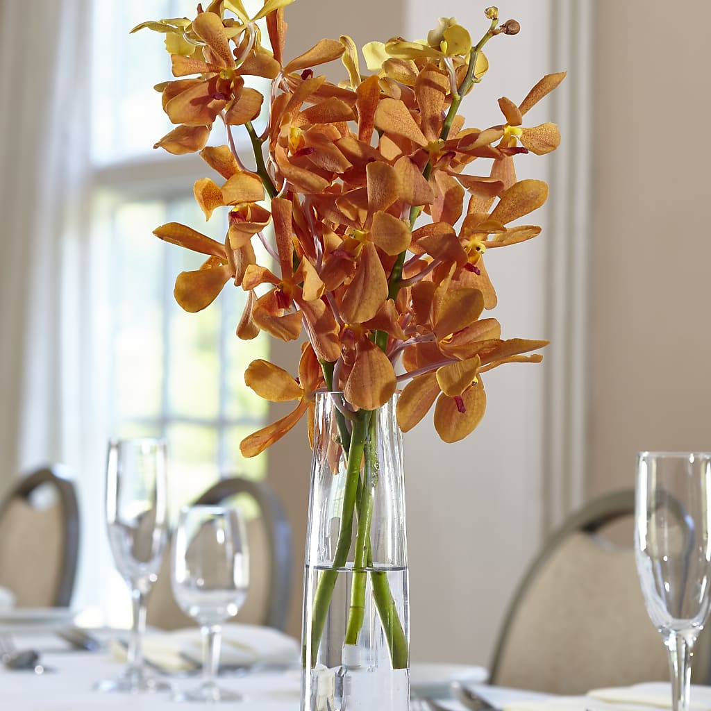 Orange Mokara Bud Vase – Floreria Mexico #3, Torrance CA