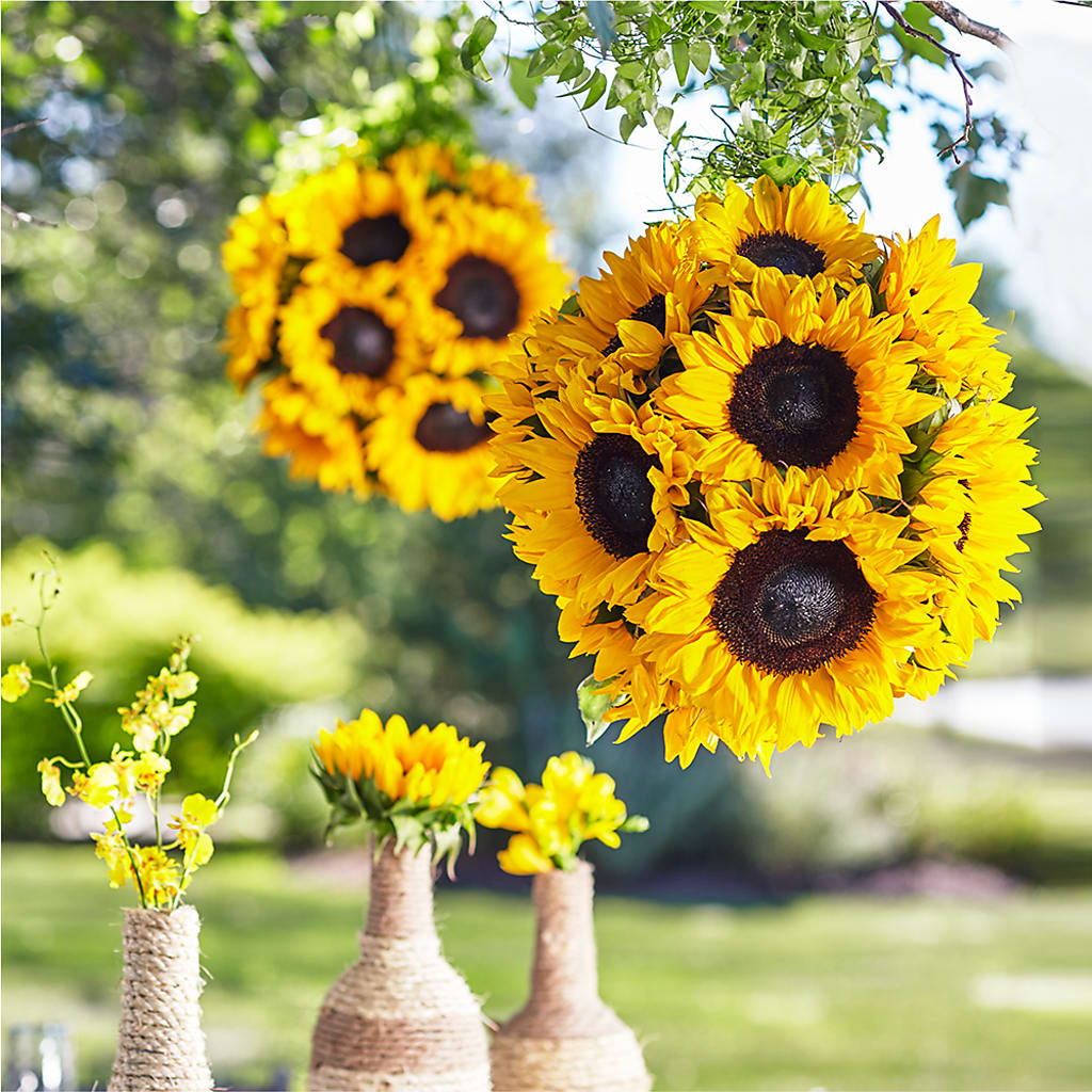 Sublime Garden Hanging Arrangement – Floreria Mexico #3, Torrance CA