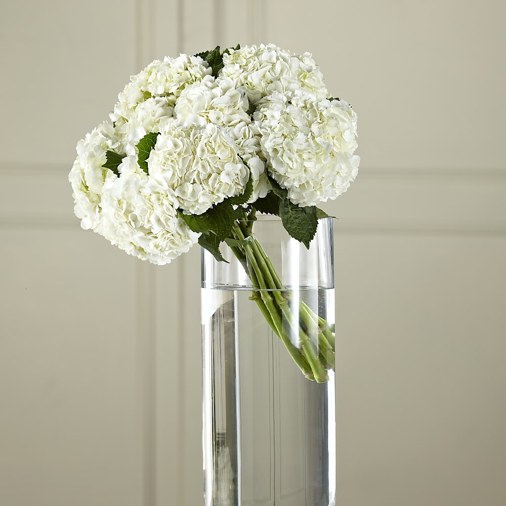 White Hydrangea Hand-Tied Bouquet – Floreria Mexico #3, Torrance CA