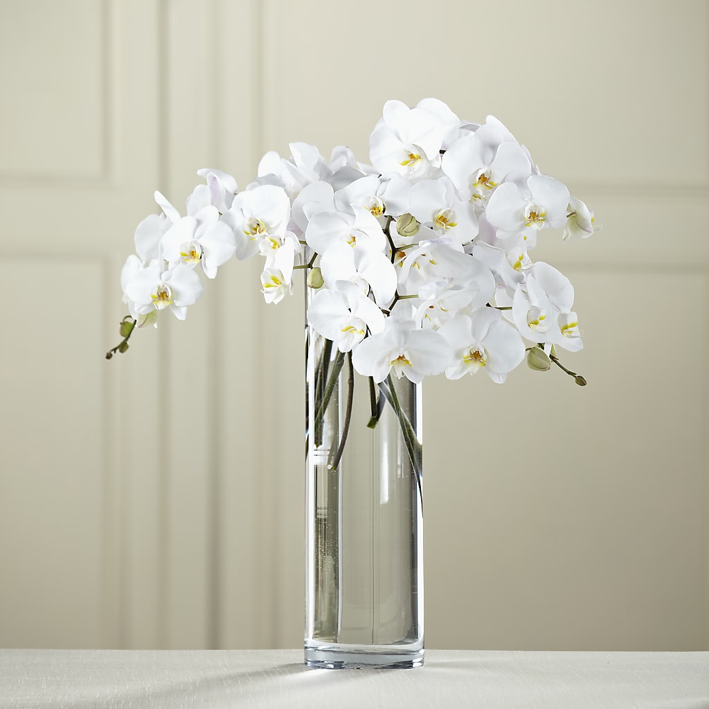 White Phalaenopsis Bouquet – Floreria Mexico #3, Torrance CA