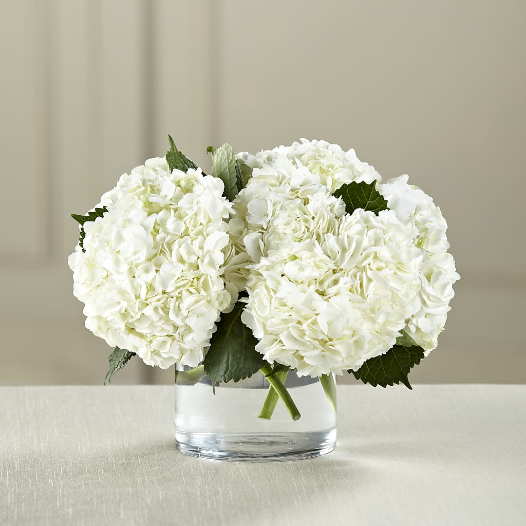 White Hydrangea Bouquet – Floreria Mexico #3, Torrance CA