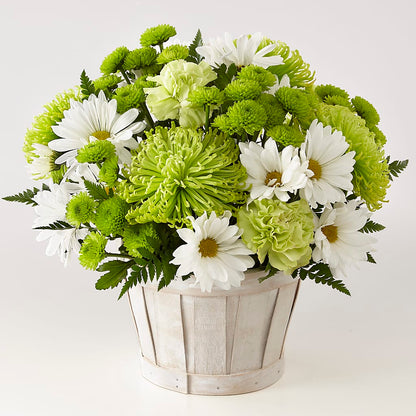 Lucky Charm Basket (Standard) –  Floreria Mexico #3, Torrance CA