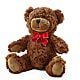 Adorable Plush Bear –  Floreria Mexico #3, Torrance CA