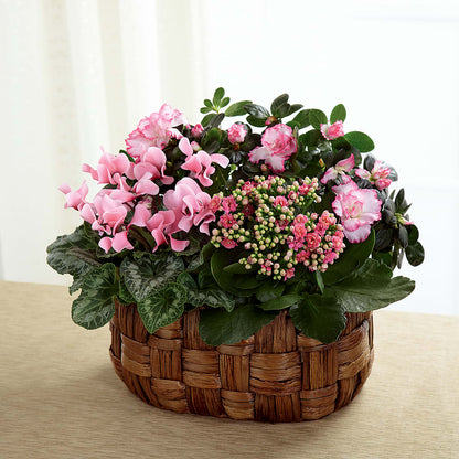 Pink Assortment –  Floreria Mexico #3, Torrance CA