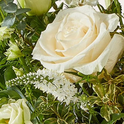Cashmere Bouquet –  Floreria Mexico #3, Torrance CA