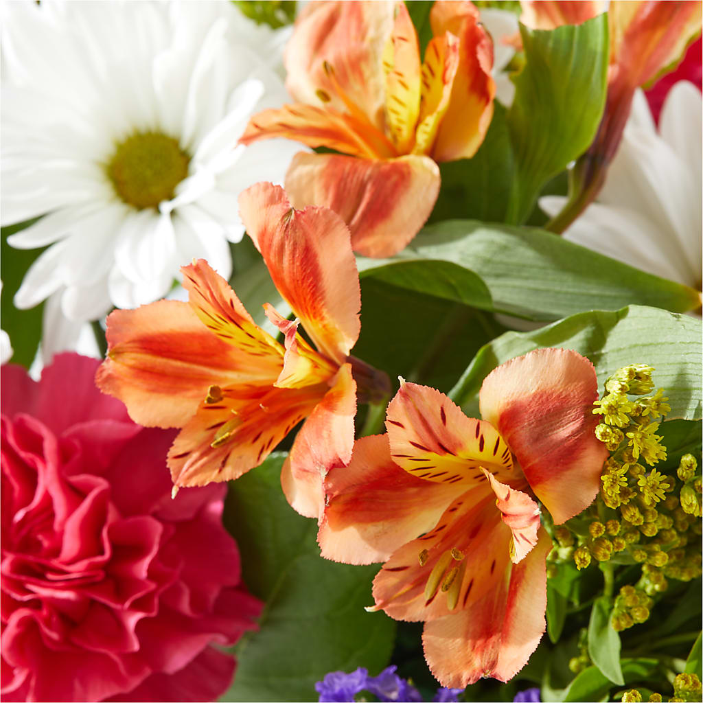 Oopsie Daisy Box Bouquet –  Floreria Mexico #3, Torrance CA