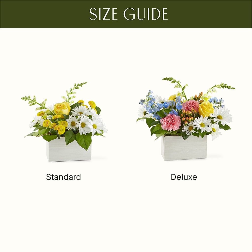 Sun Salutation Box Bouquet –  Floreria Mexico #3, Torrance CA