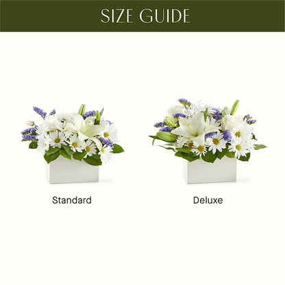 Beyond Blue Box Bouquet –  Floreria Mexico #3, Torrance CA