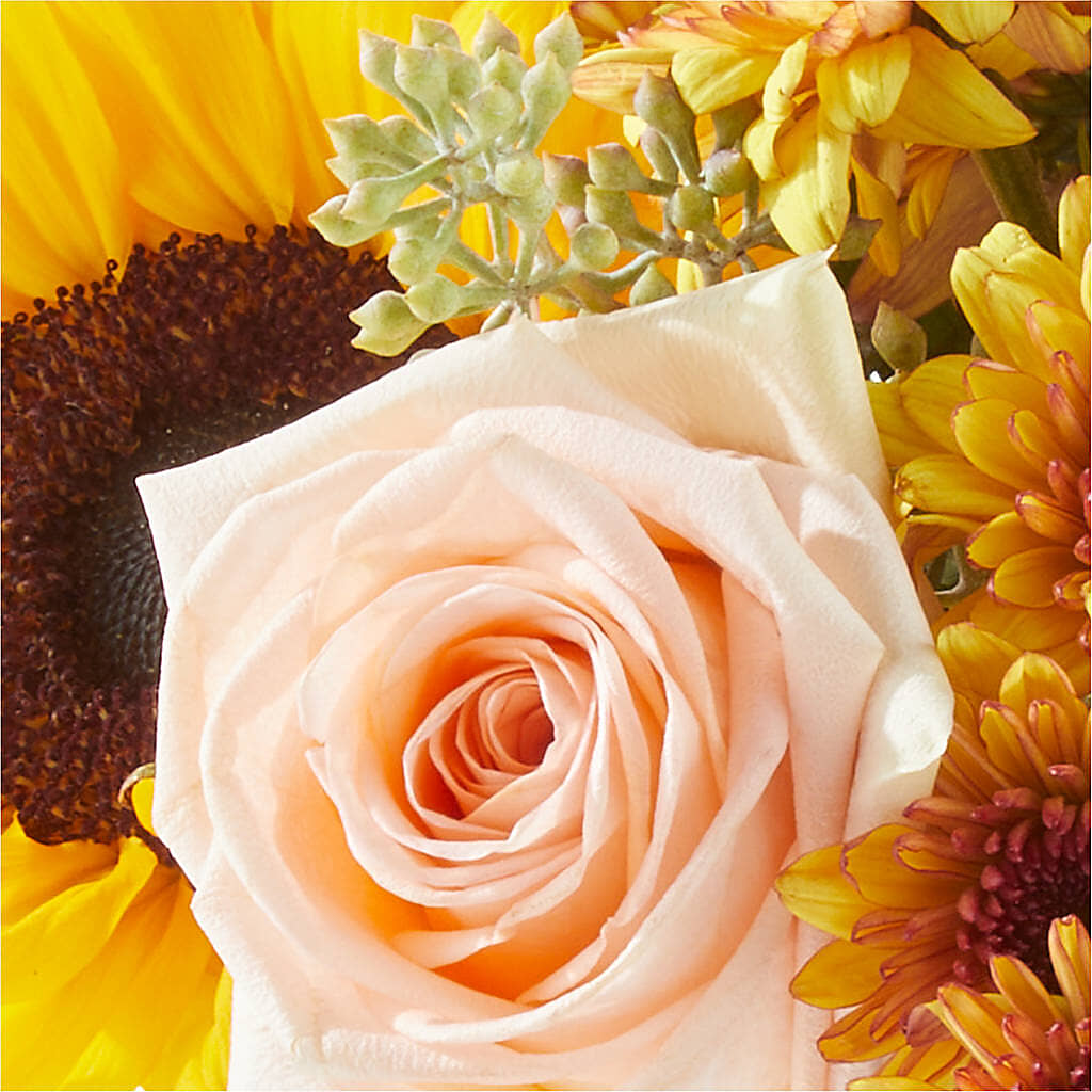 Pumpkin to Talk About Bouquet –  Floreria Mexico #3, Torrance CA