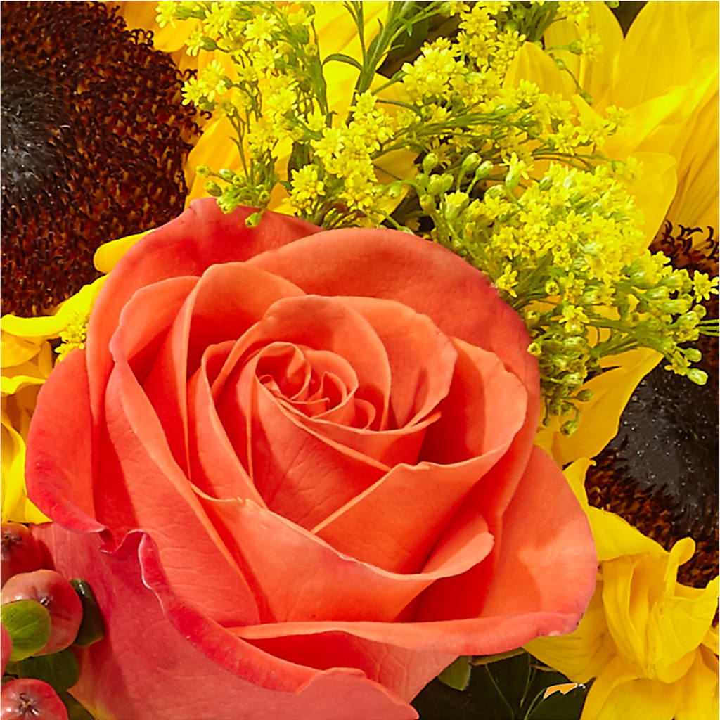 Pick of the Patch Pumpkin Bouquet –  Floreria Mexico #3, Torrance CA
