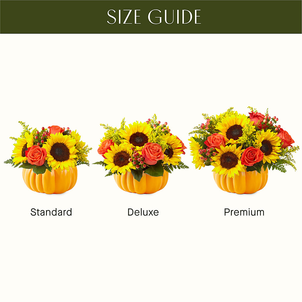 Pick of the Patch Pumpkin Bouquet –  Floreria Mexico #3, Torrance CA