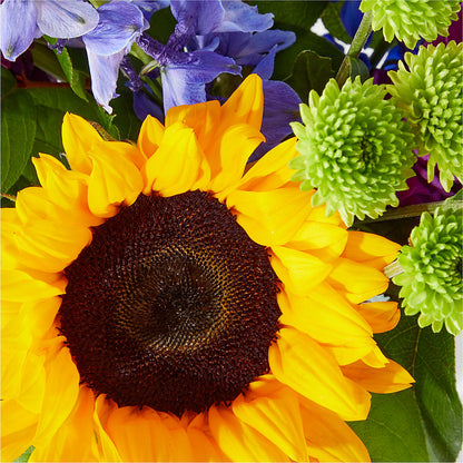 Catching Rays Bouquet –  Floreria Mexico #3, Torrance CA