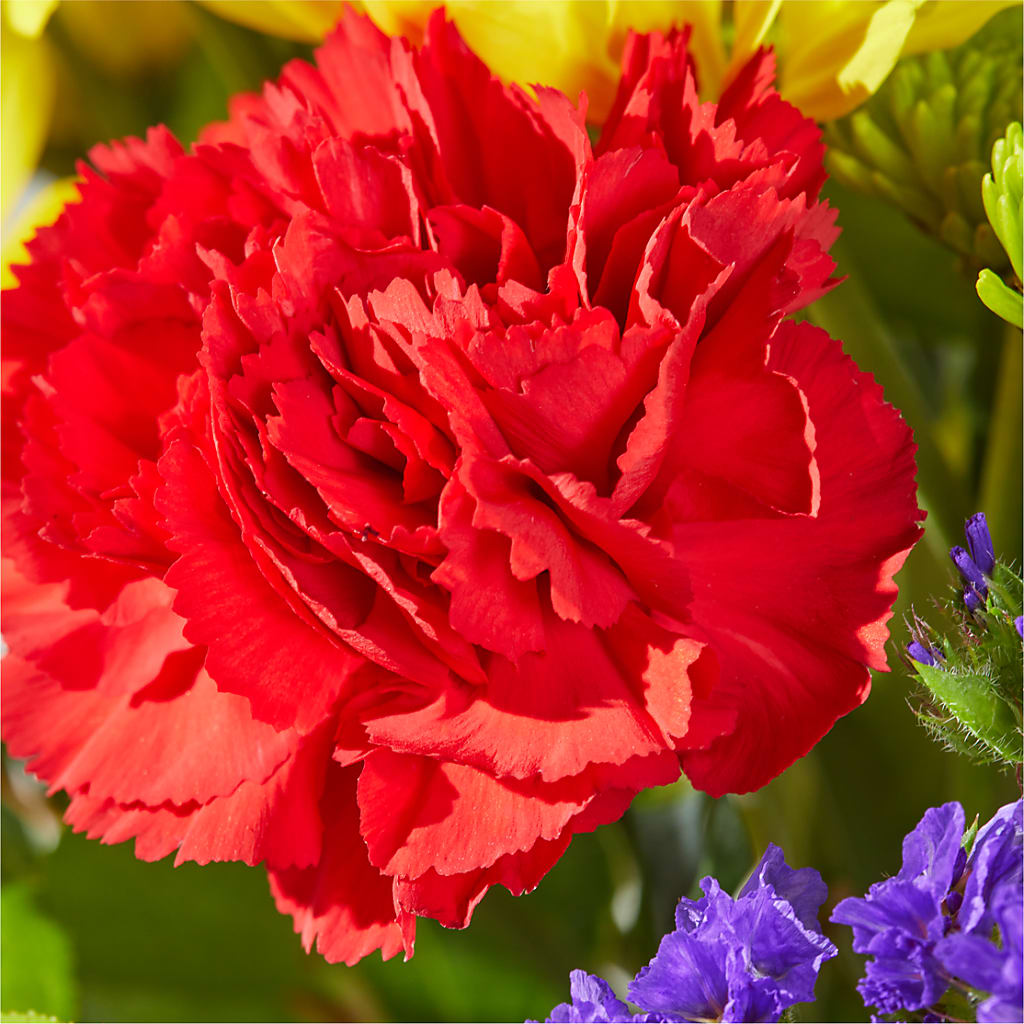 Brighter Days Bouquet –  Floreria Mexico #3, Torrance CA