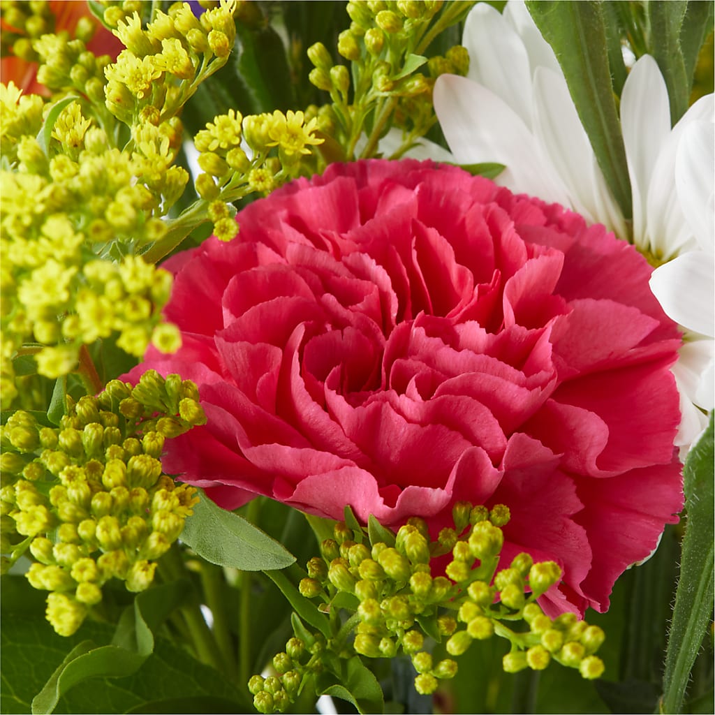 Oopsie Daisy Bouquet –  Floreria Mexico #3, Torrance CA