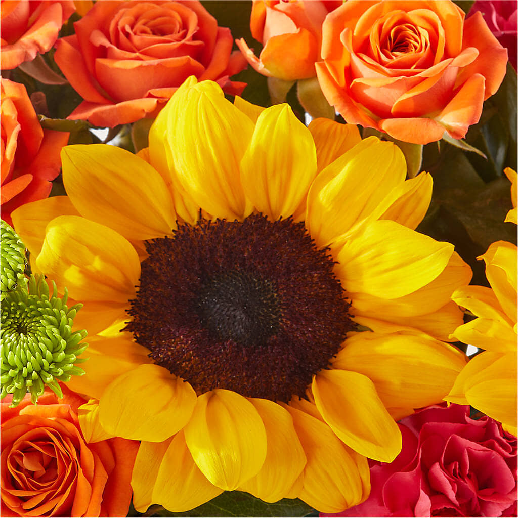 Sun-drenched Blooms Box Bouquet –  Floreria Mexico #3, Torrance CA