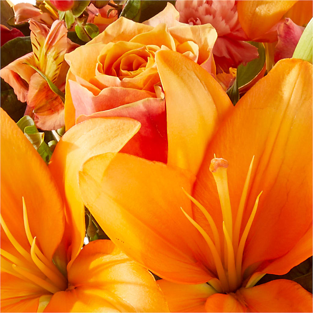 Afternoon Light Bouquet –  Floreria Mexico #3, Torrance CA