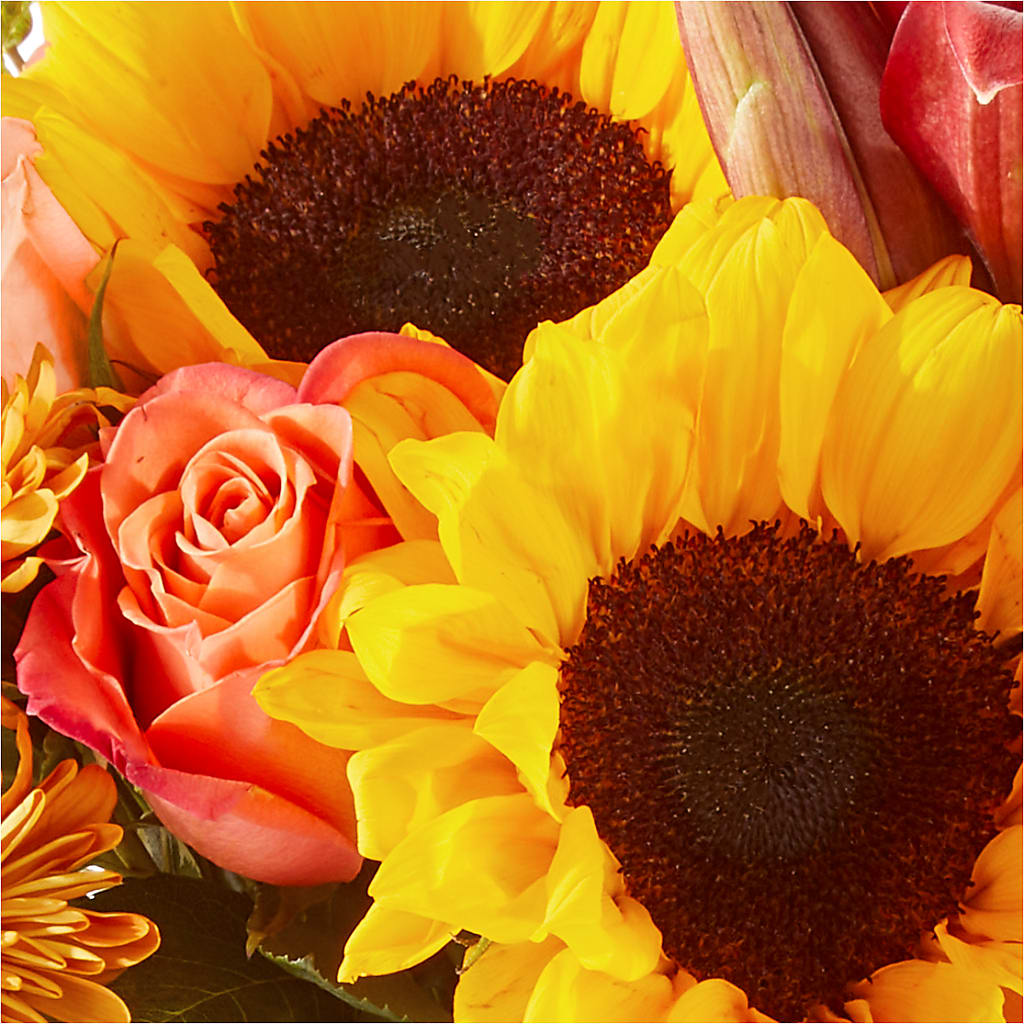 Acorn Lane Bouquet –  Floreria Mexico #3, Torrance CA