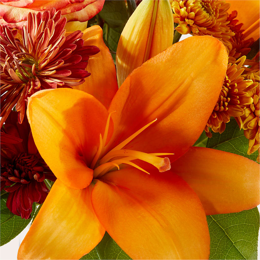 Autumnal Aroma Bouquet –  Floreria Mexico #3, Torrance CA