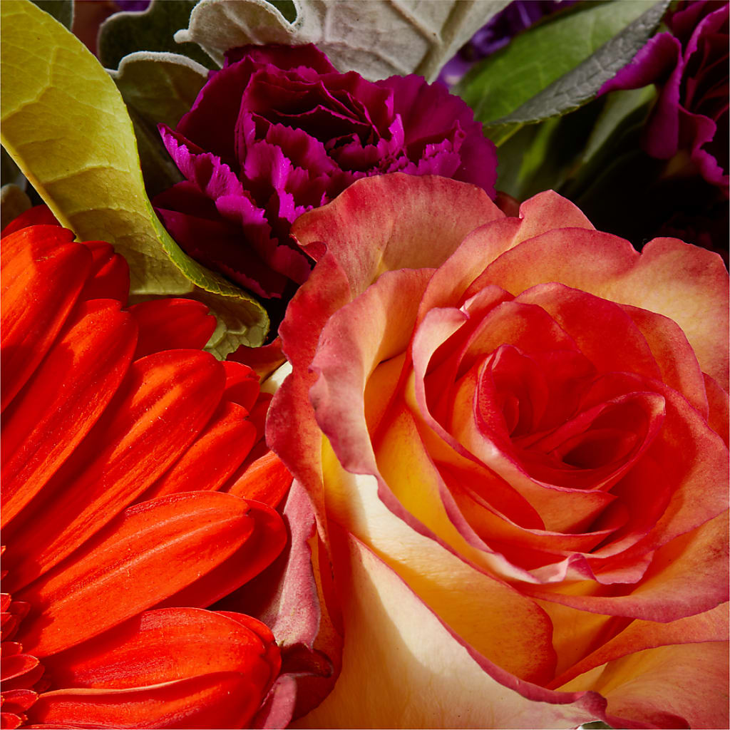 Sangria Bouquet –  Floreria Mexico #3, Torrance CA