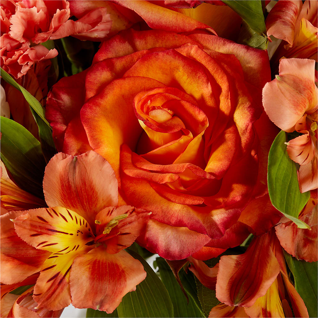 Apricot Glow Bouquet –  Floreria Mexico #3, Torrance CA