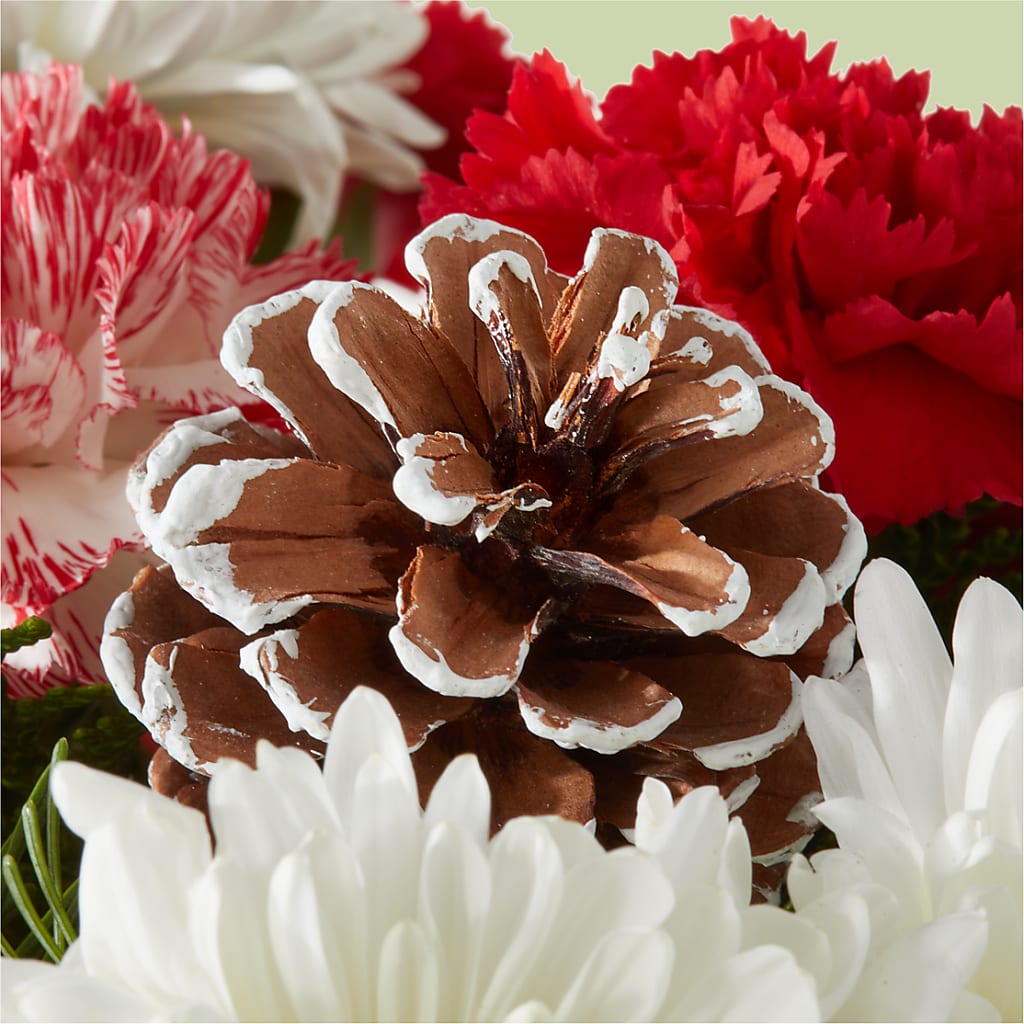 Candy Cane Lane Bouquet –  Floreria Mexico #3, Torrance CA