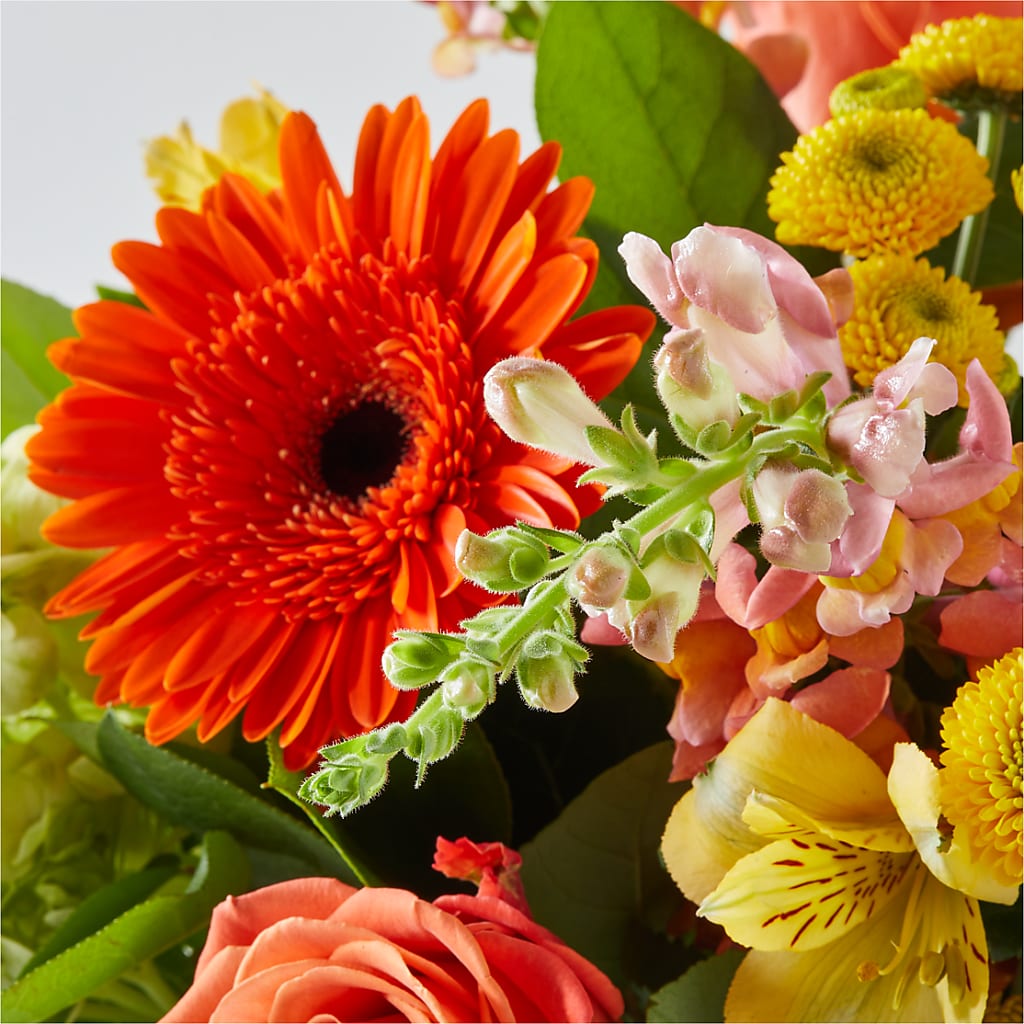 Autumn Sunshine Bouquet –  Floreria Mexico #3, Torrance CA