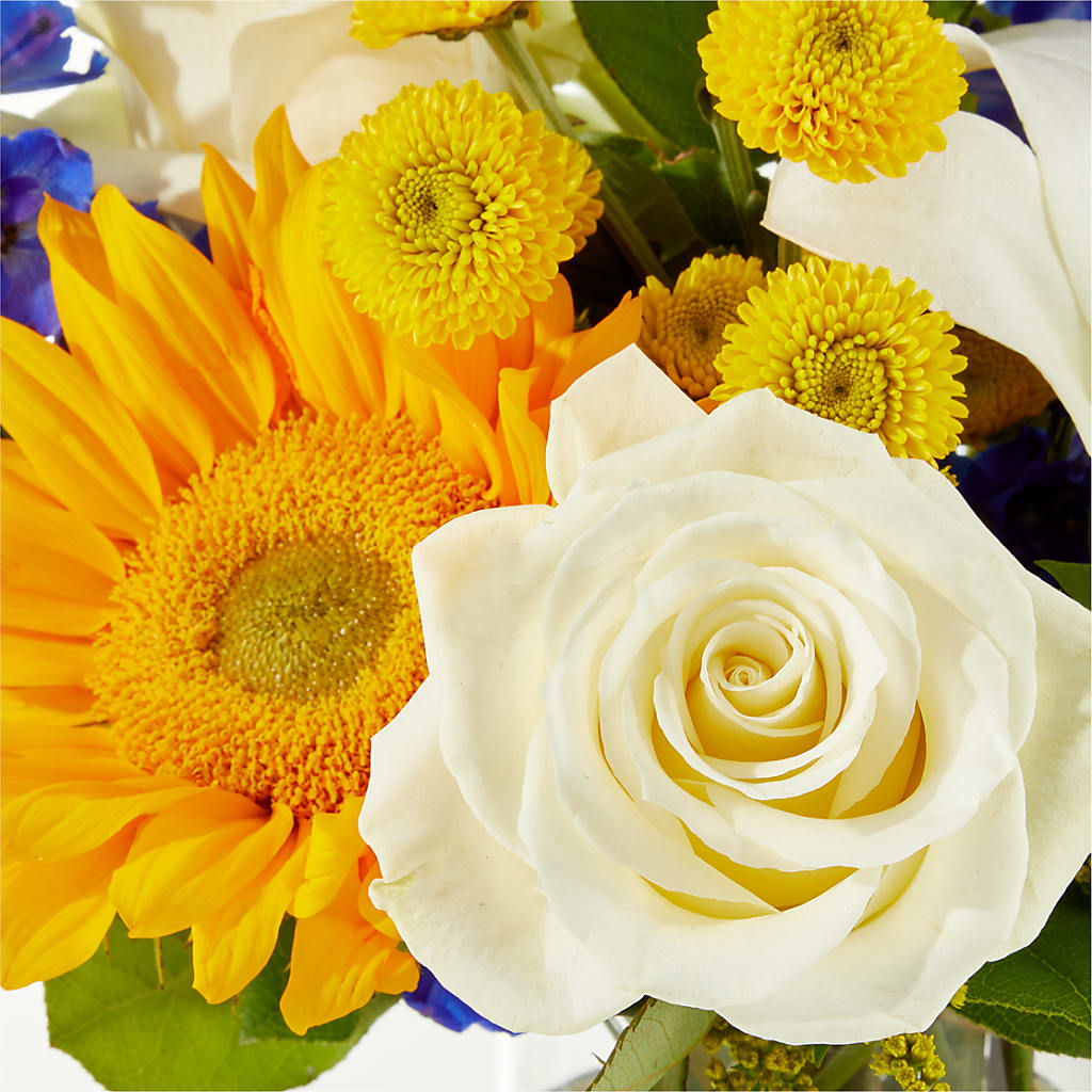 Stargazing Bouquet –  Floreria Mexico #3, Torrance CA