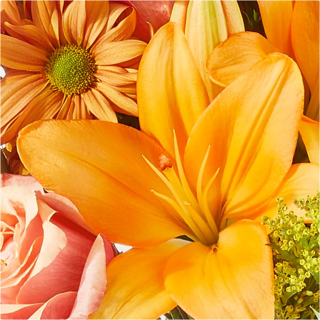 Harvest Hayride Bouquet –  Floreria Mexico #3, Torrance CA