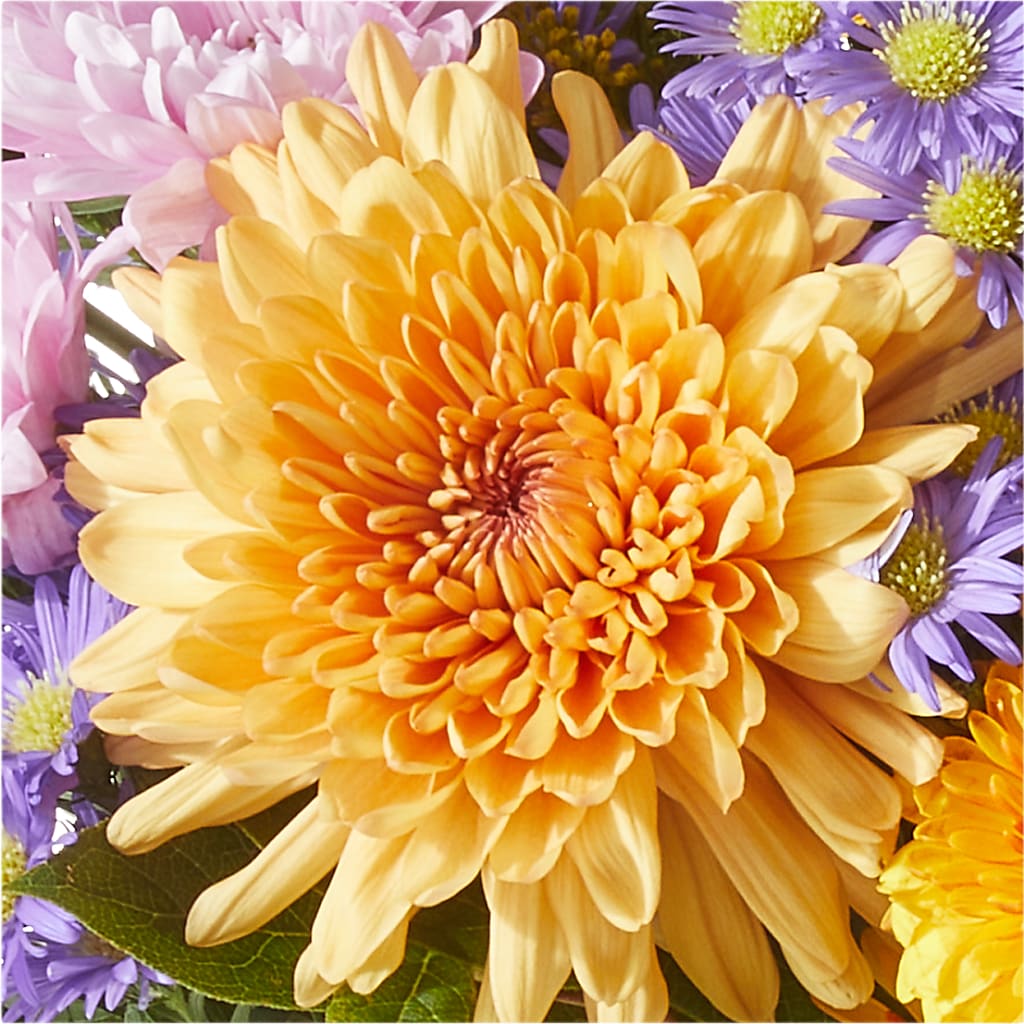 Countryside Bouquet –  Floreria Mexico #3, Torrance CA