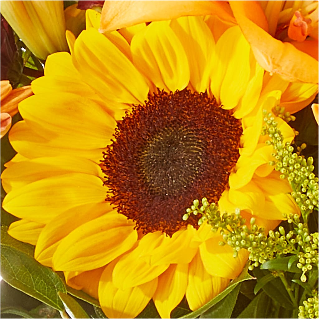 Seasons Change Bouquet –  Floreria Mexico #3, Torrance CA