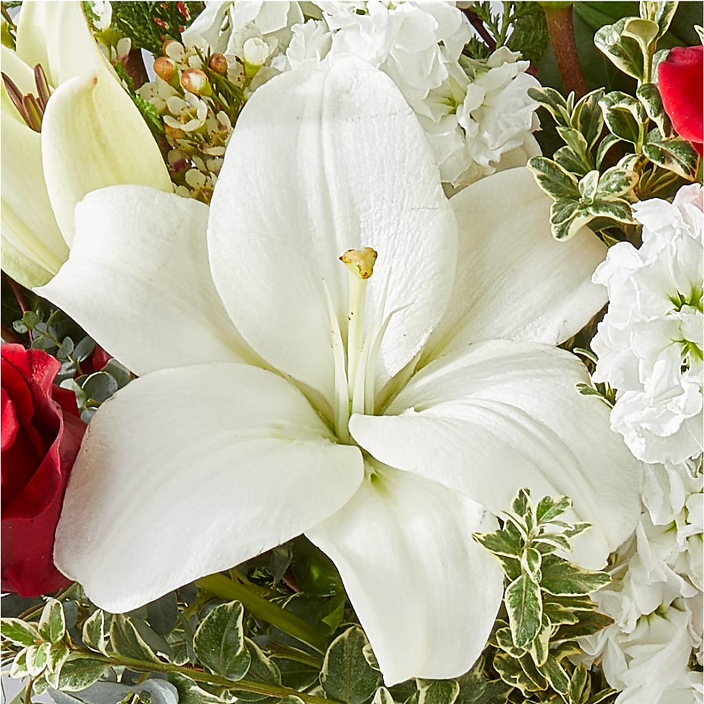 Twinkle Lights Bouquet –  Floreria Mexico #3, Torrance CA