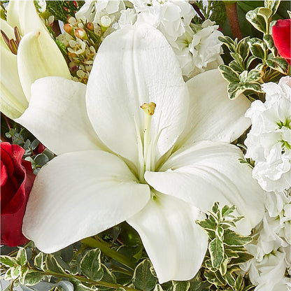 Twinkle Lights Bouquet –  Floreria Mexico #3, Torrance CA