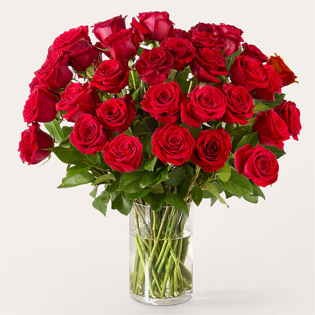 The One Red Rose Bouquet –  Floreria Mexico #3, Torrance CA