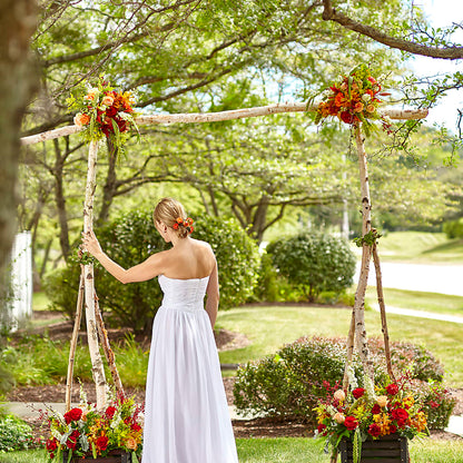 Arbor of Love Archway –  Floreria Mexico #3, Torrance CA