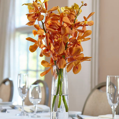 Orange Mokara Bud Vase –  Floreria Mexico #3, Torrance CA