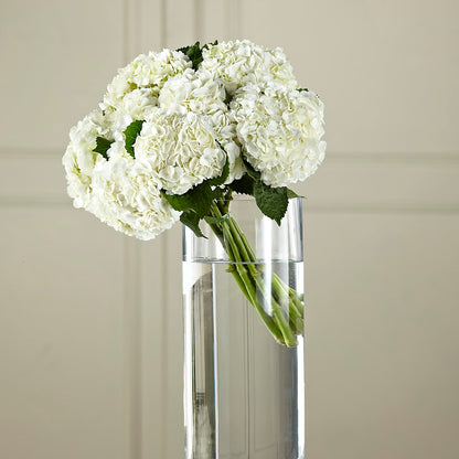 White Hydrangea Hand-Tied Bouquet –  Floreria Mexico #3, Torrance CA