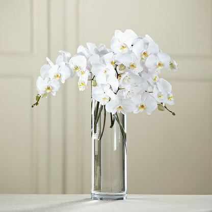 White Phalaenopsis Bouquet –  Floreria Mexico #3, Torrance CA